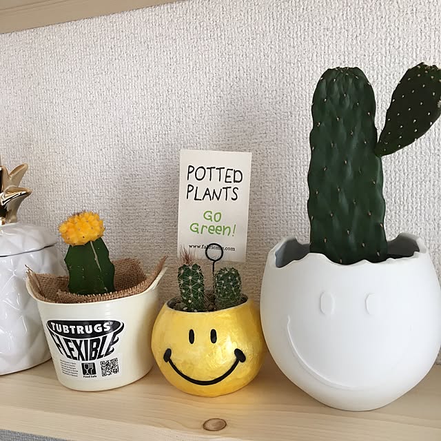chi_kaさんの実例写真