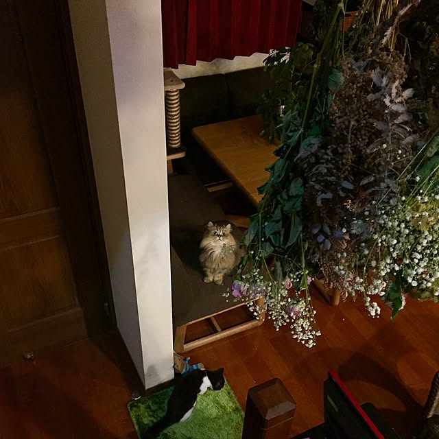 butachanさんの実例写真
