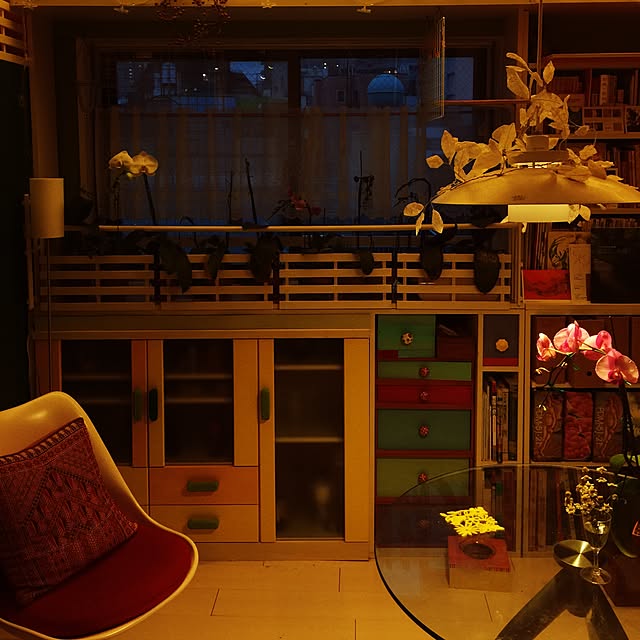 kimishigureさんの実例写真