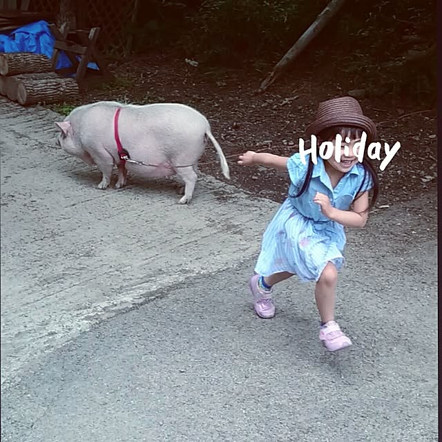 M_house_officialさんの実例写真