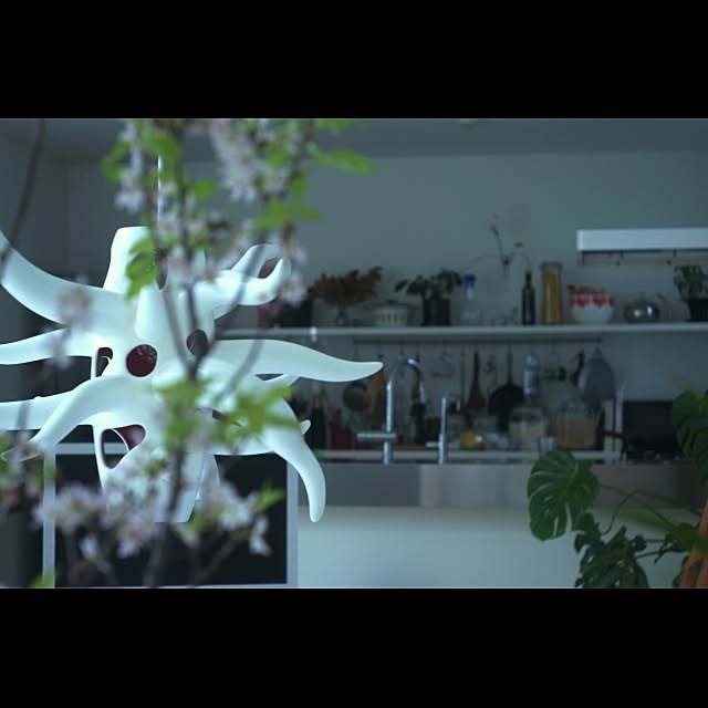 Design papa Ka-tuさんの実例写真