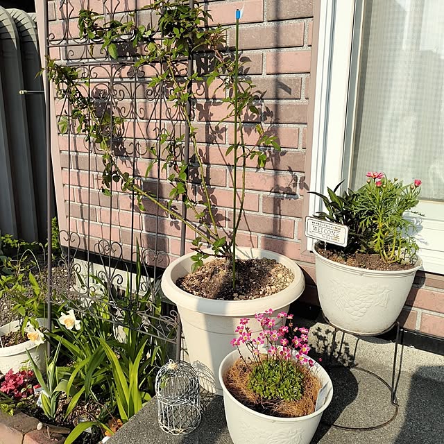 kiraさんの部屋
