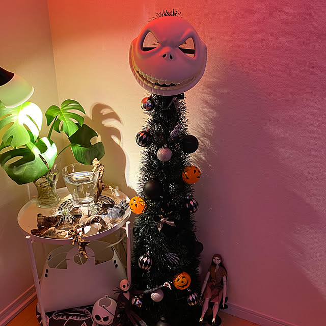 Fumiyoさんの実例写真