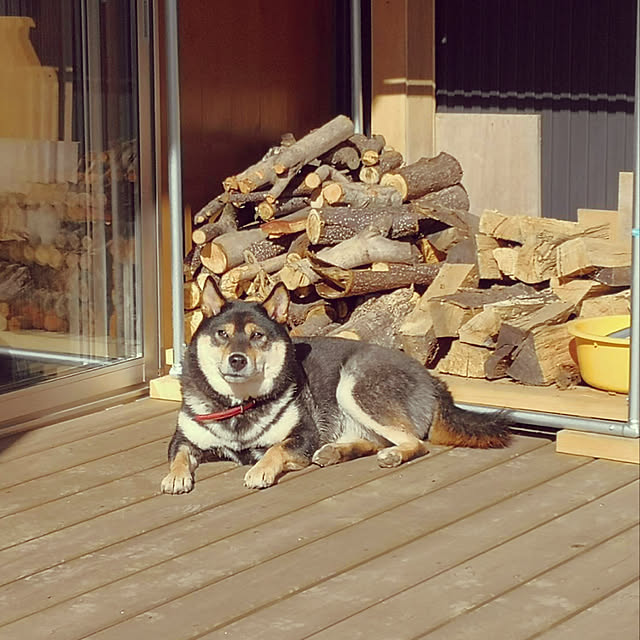 Hechimaさんの実例写真
