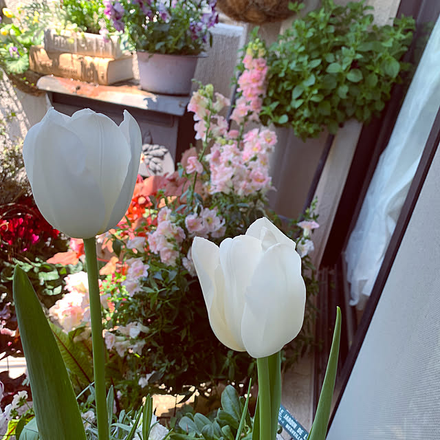 Tenさんの部屋