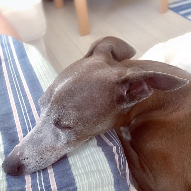 suzyさんの実例写真