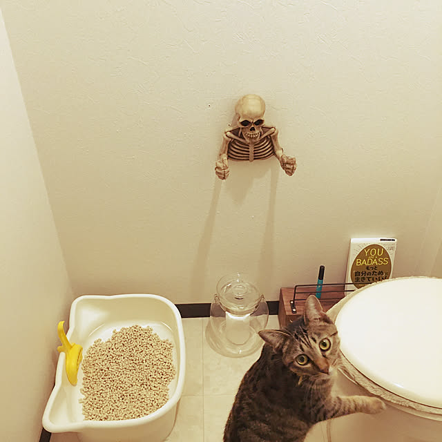 Mさんの実例写真