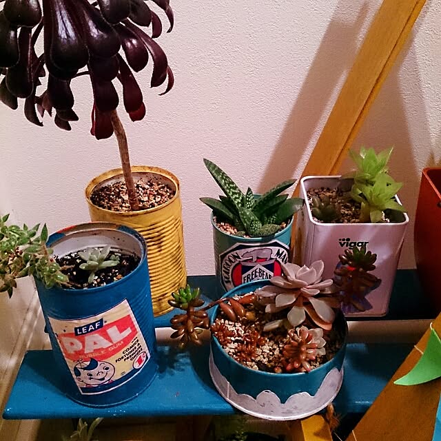 urchinさんの実例写真