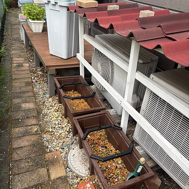 momocchiさんの部屋