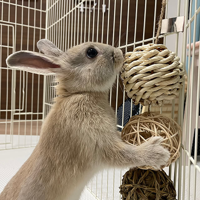 kareiさんの実例写真