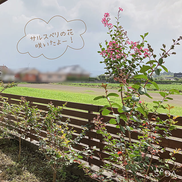 -Riley-mama.-さんの実例写真