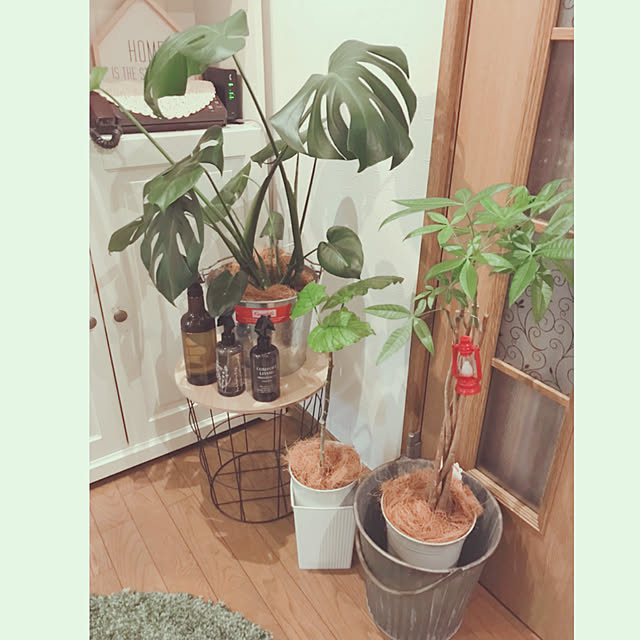 LEMONEDさんの実例写真