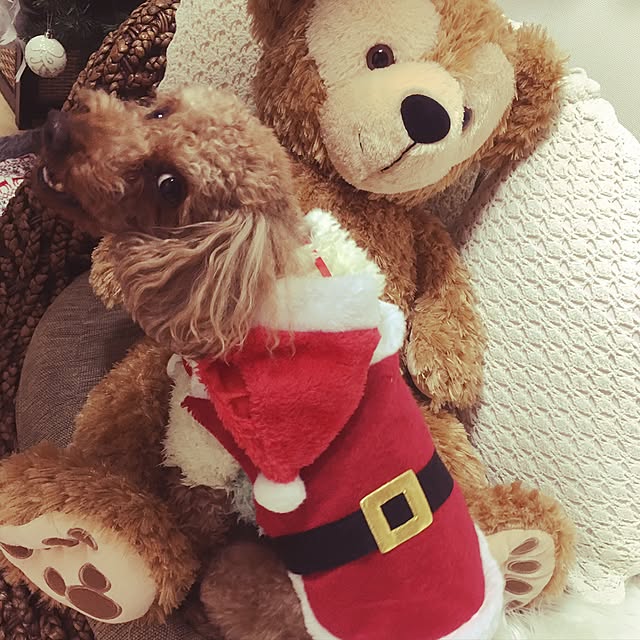 chocoisteさんの実例写真