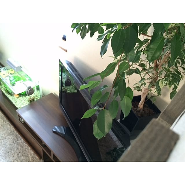 L.さんの実例写真