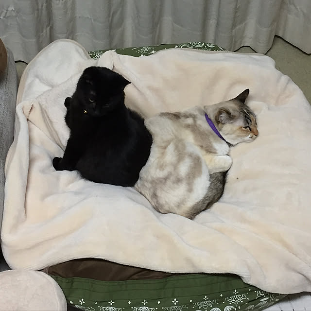 nanaさんの実例写真
