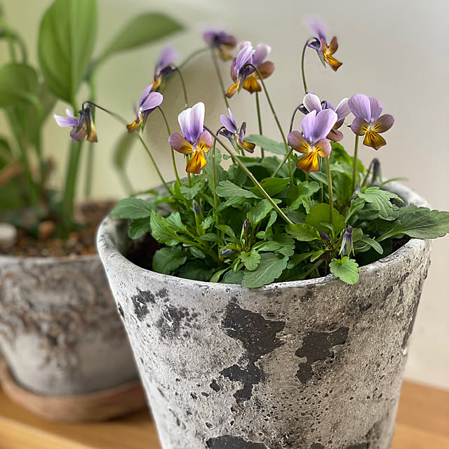 kuremaさんの実例写真