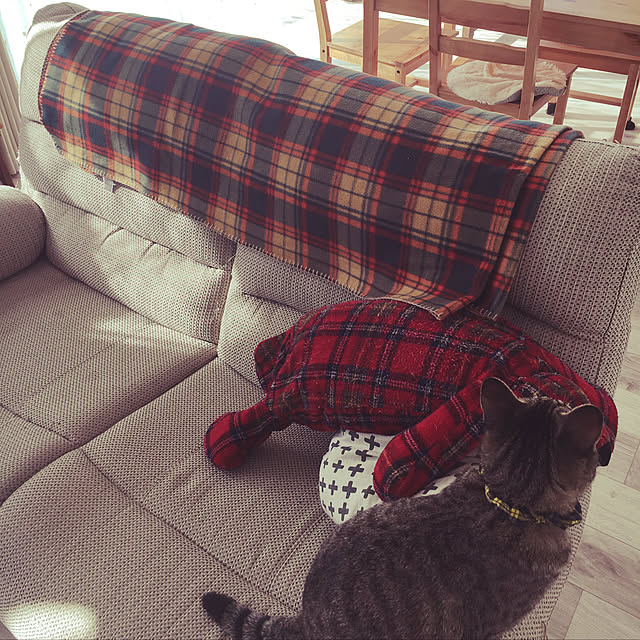keiさんの実例写真