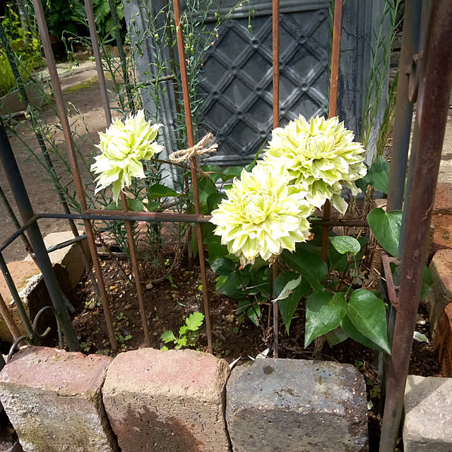 hirococoさんの実例写真