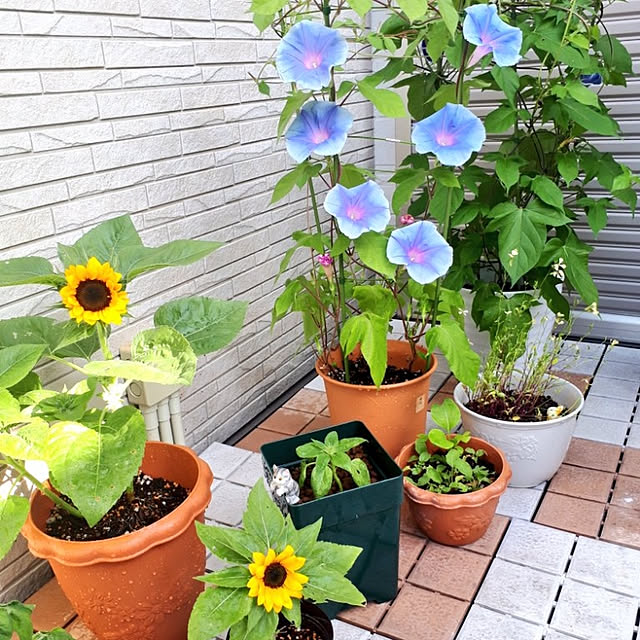 aiさんの実例写真