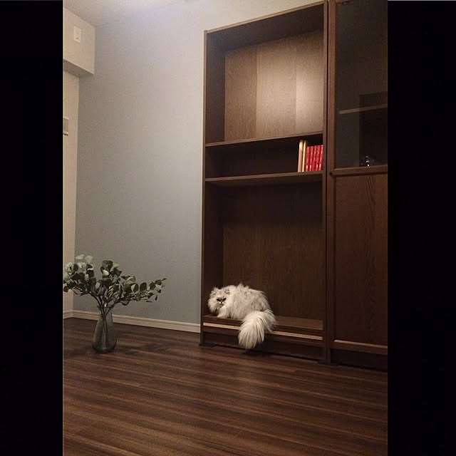 maRieさんの実例写真