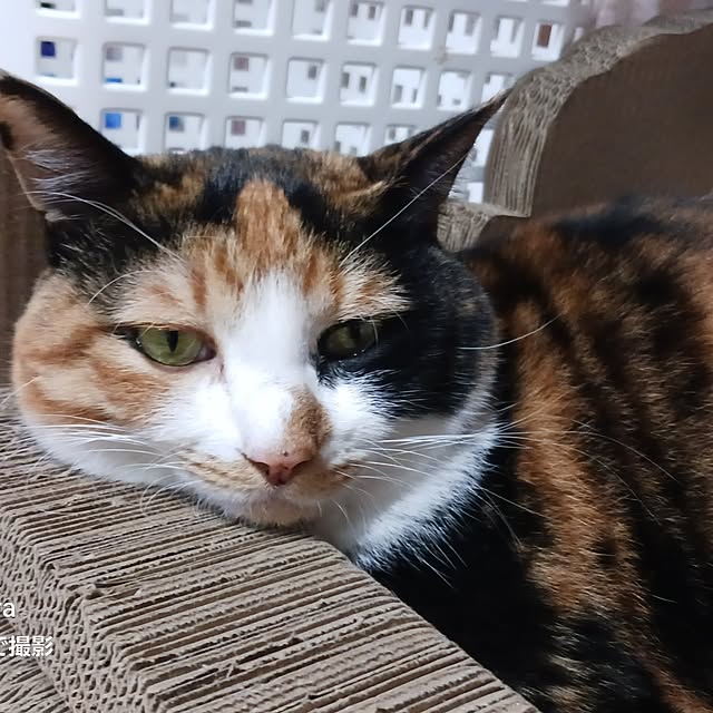 aiさんの部屋