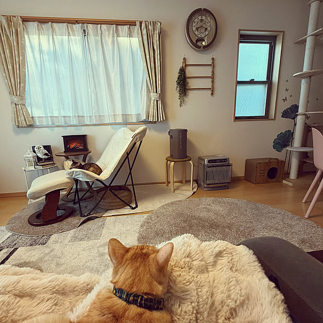 chiiさんの実例写真