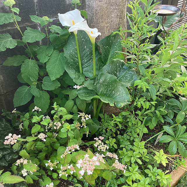 mamaさんの部屋