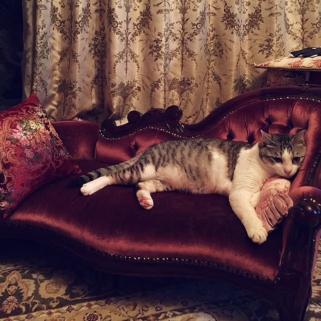 emmyyさんの実例写真