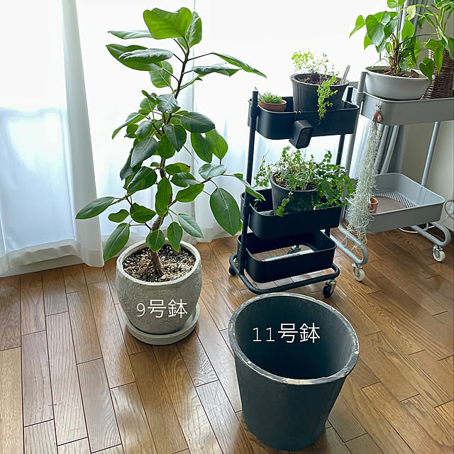 yasuyo66さんの実例写真