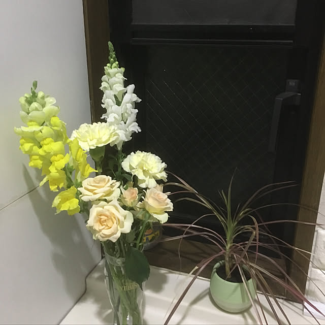 chiiさんの実例写真
