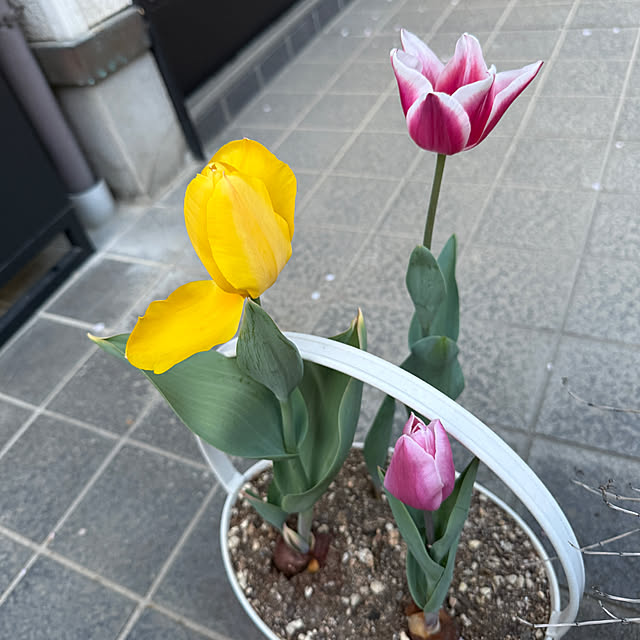 sakakenさんの部屋