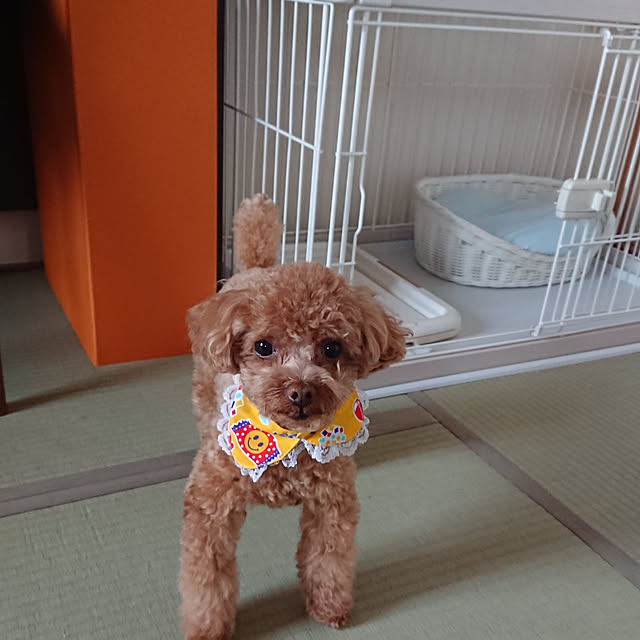 sachikoさんの実例写真