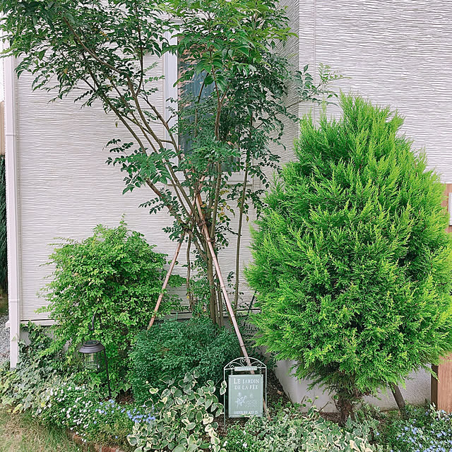 reo..m.aさんの実例写真