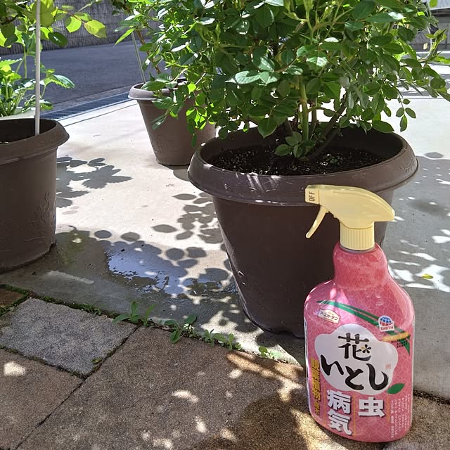 odecomaikoさんの実例写真