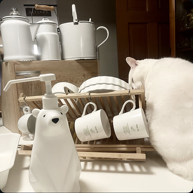 Ohigeさんの部屋