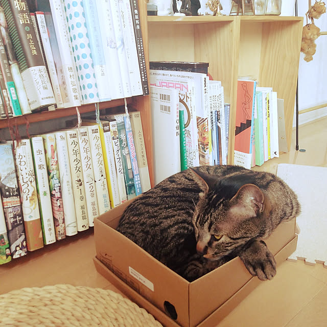 sleepywhaleさんの実例写真
