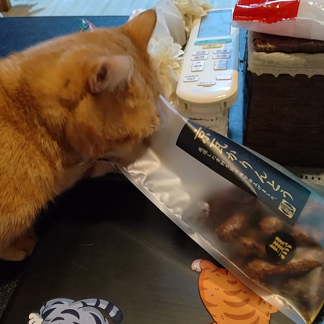 runaさんの実例写真
