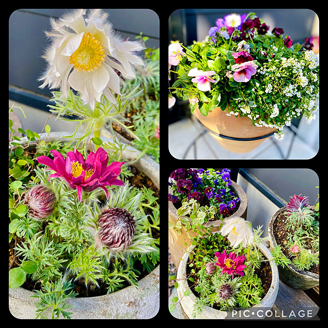 roenさんの部屋