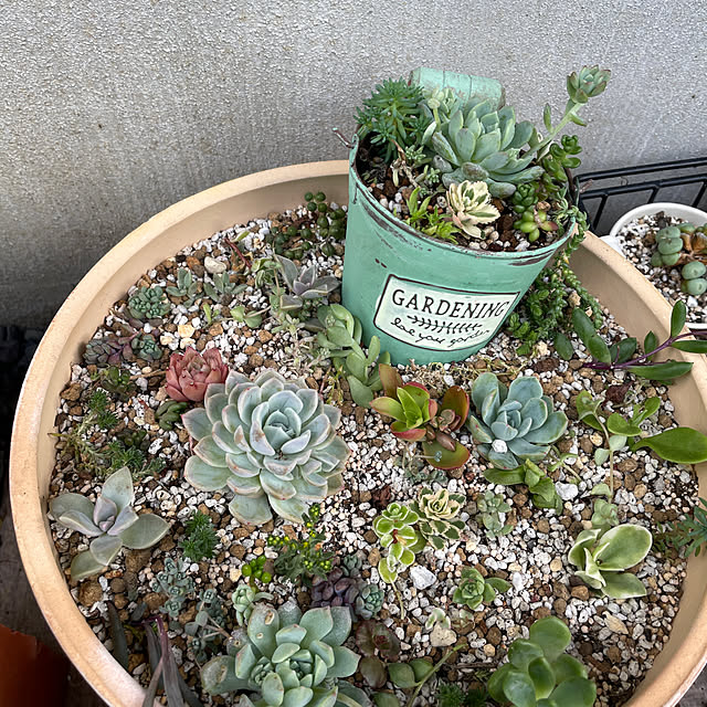 ebiさんの部屋