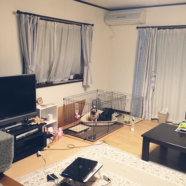 実例写真