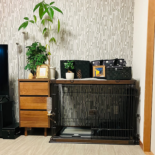 rararaさんの実例写真