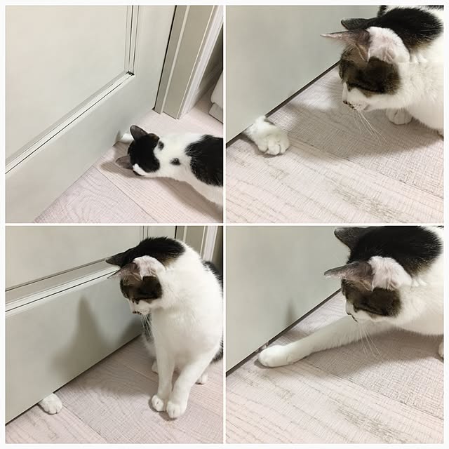 yuchiさんの実例写真