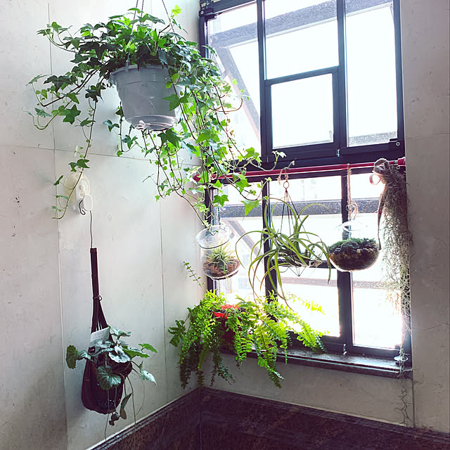 kklchengさんの実例写真