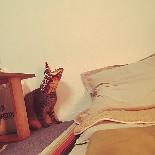 neopipeさんの実例写真