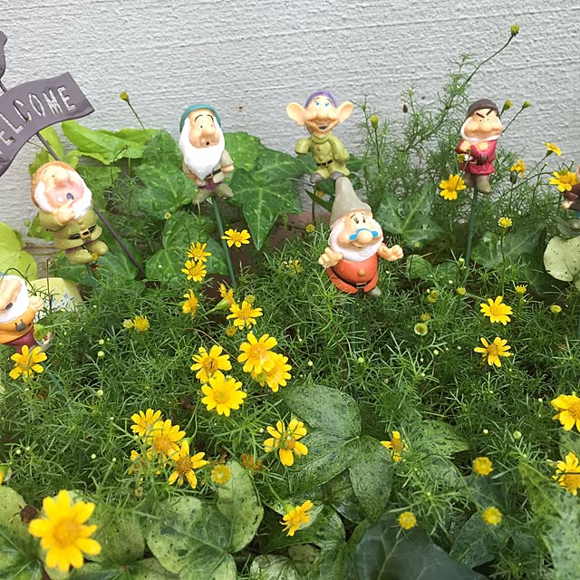 mayucco51さんの実例写真