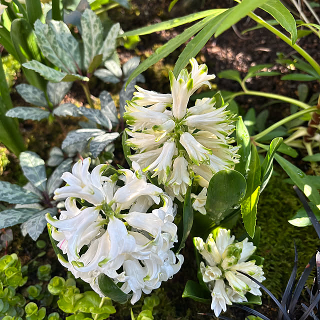 kyoko1124koさんの部屋