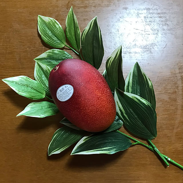 aoinokimiさんの実例写真