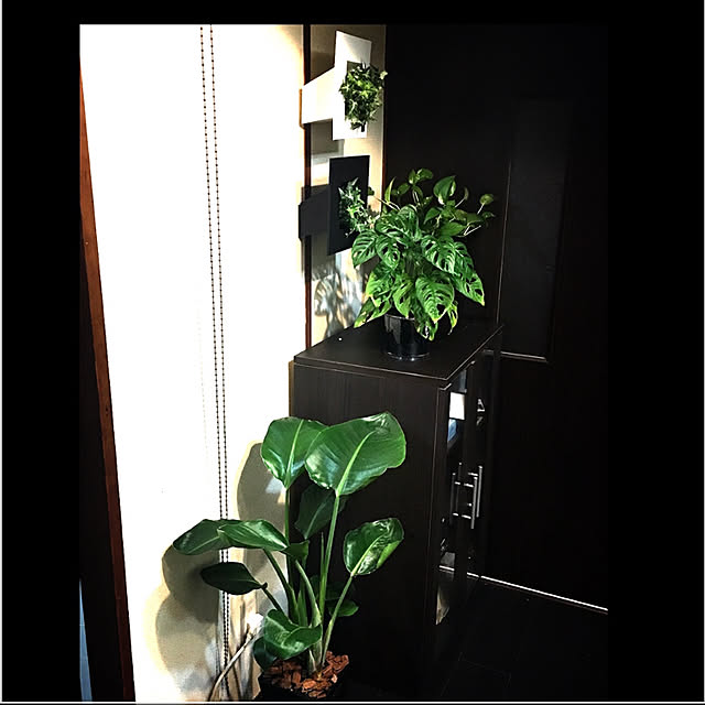 棚/観葉植物のインテリア実例 - 2018-10-07 01:38:04