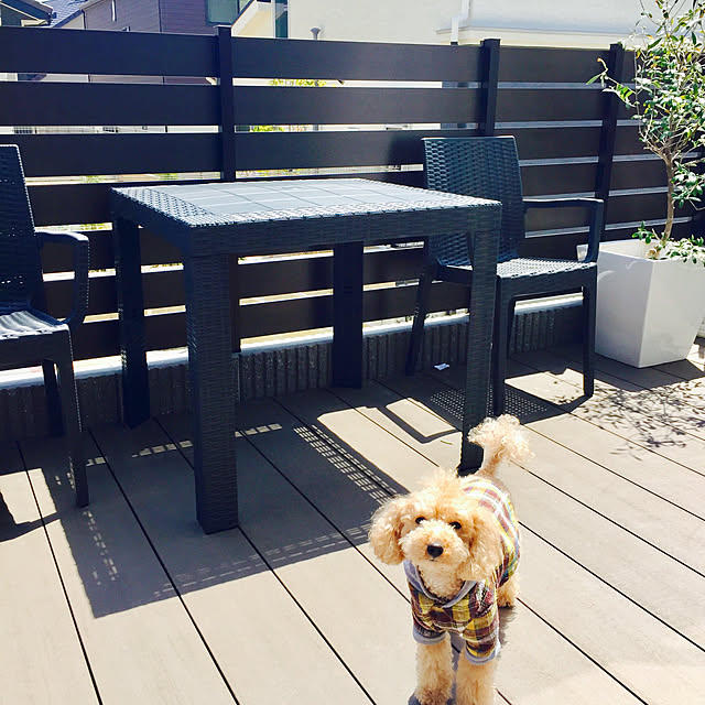 n_homeさんの実例写真
