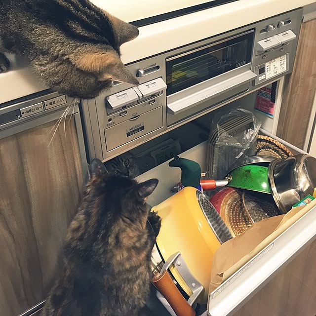 mikomaruさんの実例写真